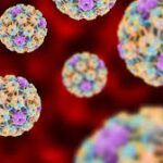 virus do hpv e mitos e verdade